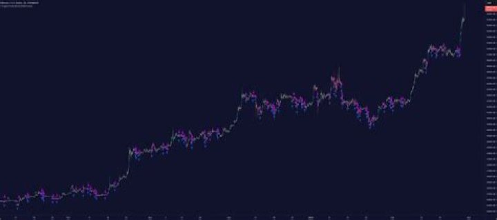 Crypto punk - How To Discuss