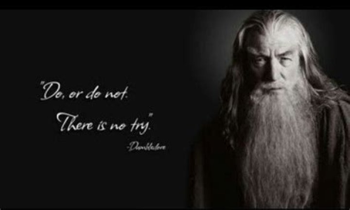 Do Or Do Not There Is No Try Dumbledore