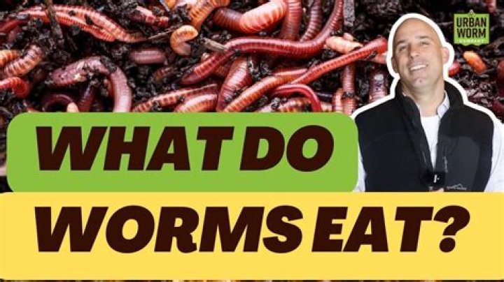 How do you cook earthworms?