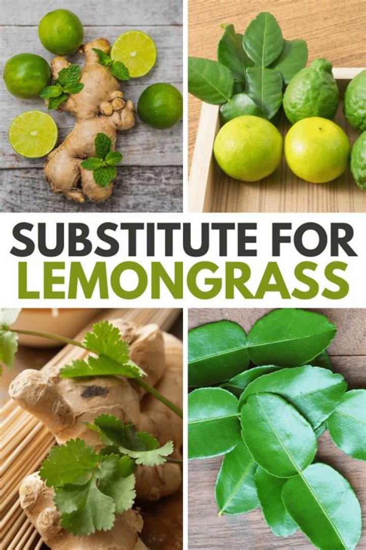 Lemongrass Paste Substitute - How To Discuss