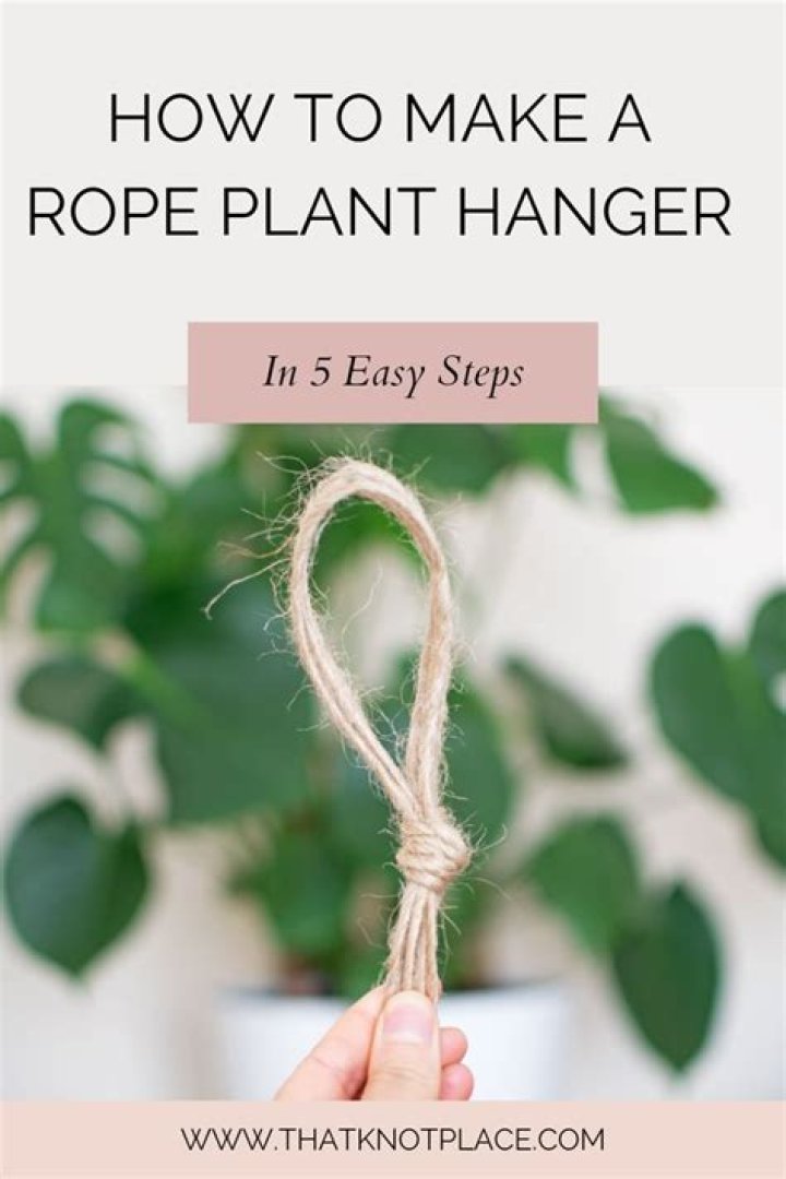 rope plant hanger