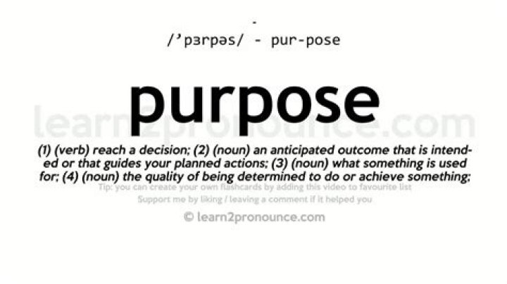 What Does Purpose Mean